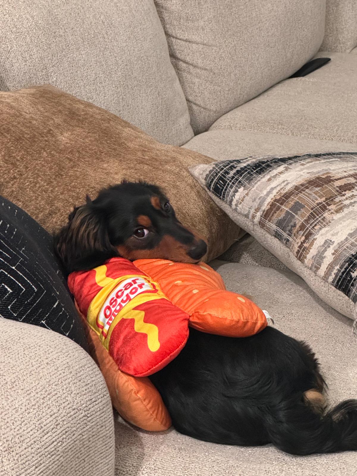 PHOTO-2025-10-22-17-54-31