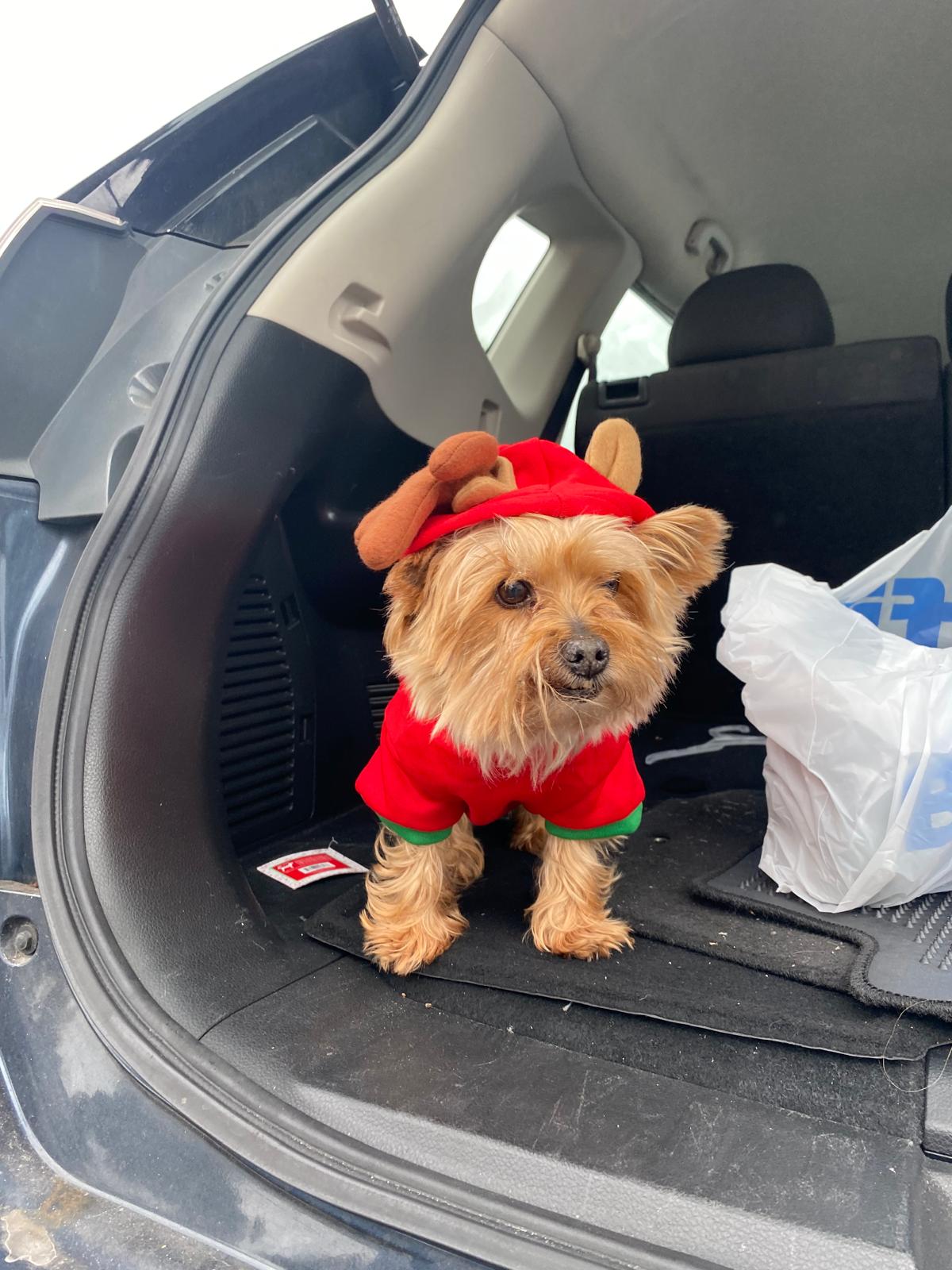 PHOTO-2025-10-22-17-56-47